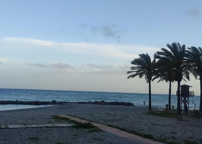 Marea *